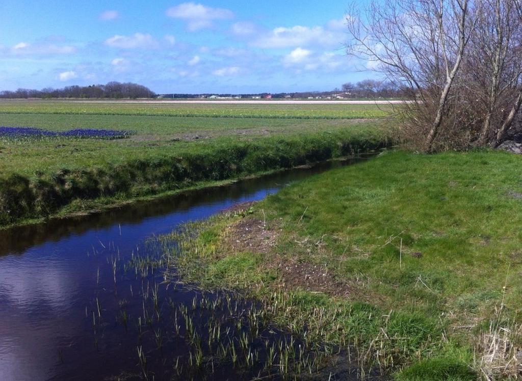 Strand49 Glamping Sint Maartenszee Sint Maartensvlotbrug Екстер'єр фото